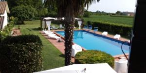 a swimming pool with lounge chairs and a palm tree at Casale Gelsomino in Rovolon