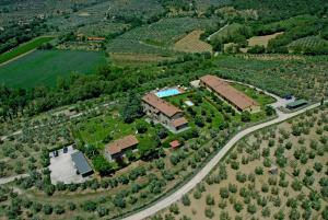Bazén v ubytování Agriturismo Cortoreggio nebo v jeho okolí