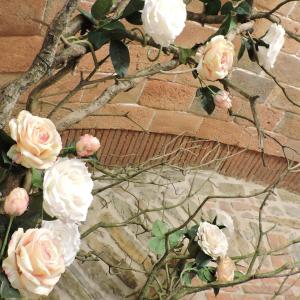 a bunch of white roses on a brick wall at Boutique Hotel Masolino in Panicale +41 photos
