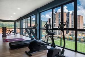 Fitness centrum a/nebo fitness zařízení v ubytování Villa Mosavali