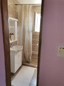 La salle de bains est pourvue d'un lavabo blanc et d'un miroir. dans l'établissement Smeštaj Urošević, à Golubac