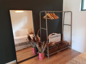 a large mirror in a living room with a bed at Modern Tiny House op rustig Watersportpark in Elahuizen