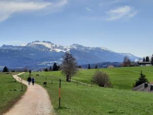 two people and a dog walking down a dirt road at Hotel Pension Lindenhof in Prien am Chiemsee