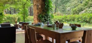une table en bois avec des assiettes et des tasses au-dessus dans l'établissement Domaine Codaleone, à Serriera