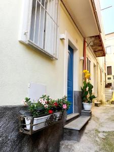 a window box with flowers in it next to a door at Rifugio Del Generale - comfort & relax in Pizzo