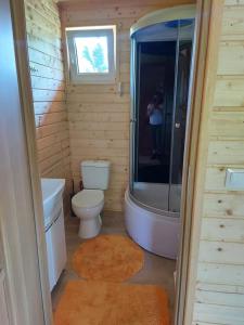 a small bathroom with a toilet and a shower at Dom NARIE na Mazurach nad Jeziorem Narie in Bogaczewo