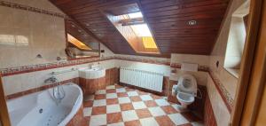 a bathroom with a tub and a toilet at Vila Bělá pod Pradědem in Bělá pod Pradědem +28 photos