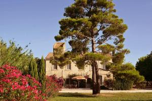 a house with a tree in front of it at Maison Tara verte au Mas Montredon in Arles