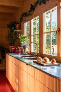une cuisine avec un comptoir avec un évier et des fenêtres dans l'établissement DOM Krzeptówki 133, à Zakopane