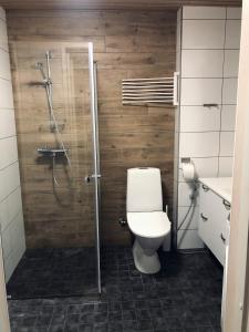 a bathroom with a toilet and a shower stall at Ylläs Fell Inn in Äkäslompolo