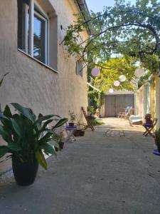 a courtyard with potted plants next to a building at Sunshine house in Pančevo