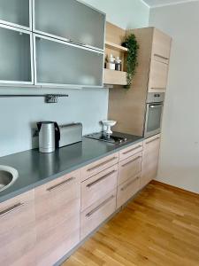 a kitchen with stainless steel appliances and wooden cabinets at Küüni Guest Apartment in Tartu