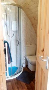 a bathroom with a glass shower with a toilet at The Pod at Hollingwell House - Glamping NC500 Edderton in Balblair