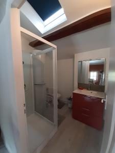 uma casa de banho com um chuveiro, um lavatório e um espelho. em Gîte des oiseaux em Préchac
