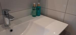ein Waschbecken mit zwei Flaschen darüber in der Unterkunft Appartement Badnieuweschans in Bad Neuschanz