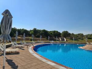 a swimming pool with lounge chairs and umbrellas at Janis Seaview Villa in Nea Fokea