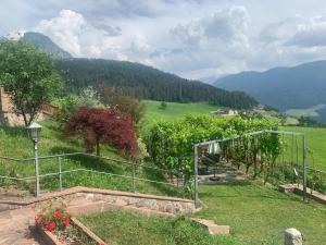 Blick auf einen Garten mit Bergblick im Hintergrund in der Unterkunft App. Eichenheim in Völs am Schlern