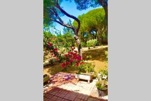 Vonkajšia záhrada v ubytovaní Agradable casa de campo con piscina en la Barrosa