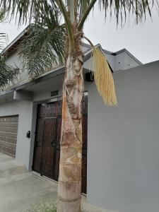 Gallery image of Departamento las palmas in Rosarito
