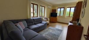 a living room with a couch and a television at Megyeri Apartman in Pócsmegyer