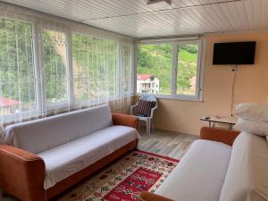 - un salon avec un canapé et quelques fenêtres dans l'établissement Lombane Apart, à Rize