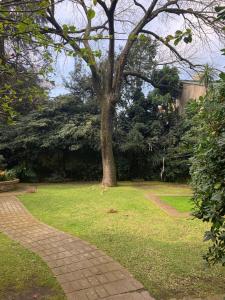 un árbol en un parque con un camino de ladrillo en excelete departamento en el centro de Martinez en Martínez