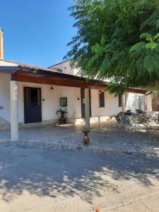 a house with a dog standing in front of it at Angelo's Country House in Bernalda