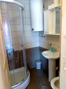 a bathroom with a shower and a sink at Studio apartment Pitomine in Žabljak
