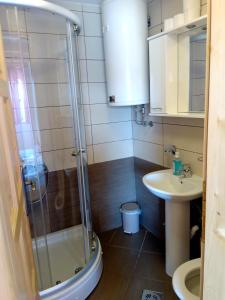 Koupelna v ubytování Studio apartment Pitomine