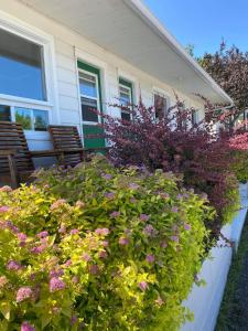 Zahrada ubytování Motel Glenn