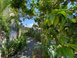 Gallery image of Casa do Toupeiro in Óbidos