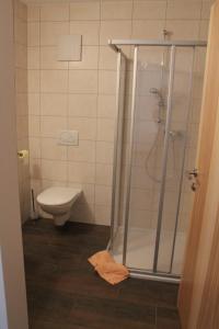 ein Bad mit einer Dusche und einem WC in der Unterkunft Haus Elisabeth in Gaschurn