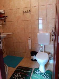 a small bathroom with a toilet and a sink at PENSIUNEA OANA in Balc