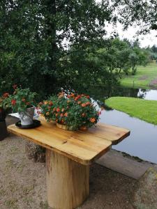 セーベジにあるDom V Russkom Stileの池の横の花の並ぶ木製テーブル