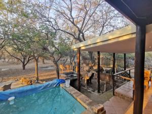 a group of animals standing next to a water slide at Mopani Villa in Marloth Park