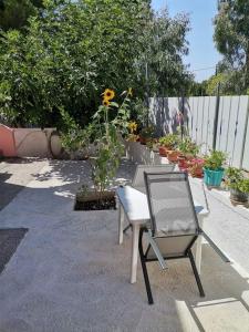 a patio with a chair and a table and flowers at Studio Zenap in Agios Georgios