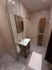 y baño con ducha y lavamanos. en Private Apartment Rozvadov en Rozvadov