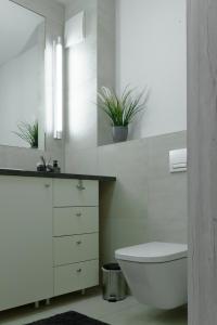 W łazience znajduje się toaleta, umywalka i lustro. w obiekcie Apartament Konopnickiej10 w Gdańsku