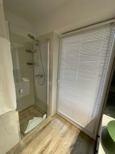 uma casa de banho com um chuveiro e uma porta de vidro em Sandapartments West Beach em Rowy