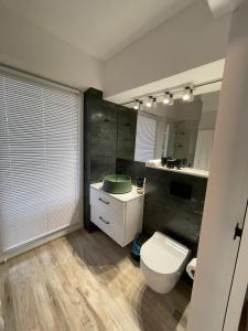 uma casa de banho com um WC e um lavatório em Sandapartments West Beach em Rowy