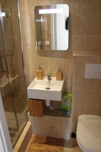 uma casa de banho com um lavatório, um WC e um espelho. em studio ZEN gare part Dieu em Lyon