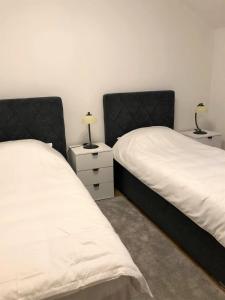 two beds sitting next to each other in a room at Apartman Lalica in Kolašin