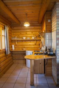 a kitchen with wooden walls and a counter in a room at Atpūtas komplekss Godeļi in Usma
