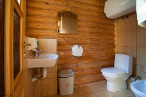 a bathroom with a toilet and a sink at Atpūtas komplekss Godeļi in Usma
