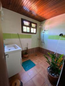 a bathroom with a sink and a shower at The Kapokier in Saint-Pierre