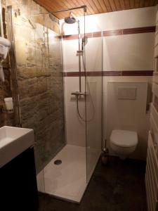 a bathroom with a shower and a toilet at Studio Charme et Confort aux Cordeliers in Lyon