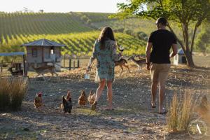 Mynd úr myndasafni af The Vigneron Villa í Woodside