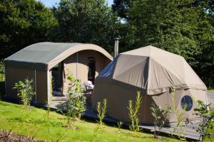 duas tendas sentadas na relva num campo em Durrell Wildlife Camp em Trinity