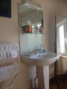 ein Badezimmer mit einem weißen Waschbecken und einem Spiegel in der Unterkunft Headgate Farm Bed and Breakfast in Twitchen