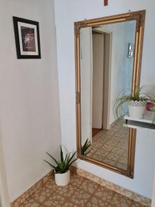 Fotografie z fotogalerie ubytování Guest House Barba v destinaci Bibinje